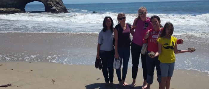 area representative taking exchange students to beach