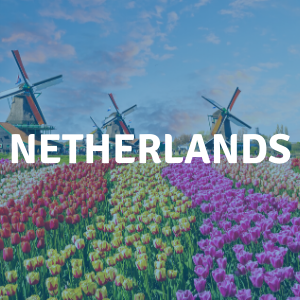 high school study abroad Netherlands