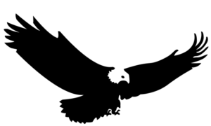 International Student Exchange (ISE) | Host An Exchange Student